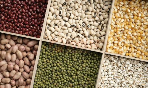 我国进口的谷物和谷物粉种类主要包括小麦,稻谷及大米,玉米,大麦