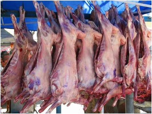 羊肉,性温。羊肉有山羊肉、绵羊肉、野羊肉之分。古时称羊肉为羖肉、羝肉、羯肉。它既能御风寒,又可补身体,对一般风寒咳嗽、慢性气管炎、虚寒哮喘、肾亏阳痿、腹部冷痛、体虚怕冷、腰膝酸软、面黄肌瘦、气血两亏、病后或产后身体虚亏等一切虚状均有治疗和补益效果,最适宜于冬季食用,故被称为冬令补品,深受人们欢迎。由于羊肉有一股令人讨厌的羊膻怪味,故被一部分人所冷落。其实,一公斤羊肉若能放入10克甘草和适量料酒、生姜一起烹调,即能够去其膻气而又可保持其羊肉风味。
