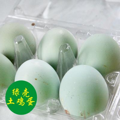 供应优质绿壳土鸡蛋