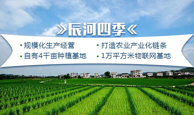 辰溪县辰河农特农业发展有限公司