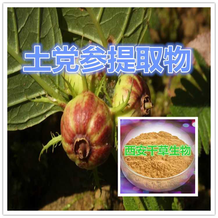 防风提取物防风粉防风浓缩粉防风浸膏粉 防风提取物防风粉防风浓缩粉防风浸膏粉
