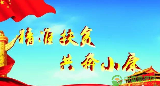 黄道乡:教您如何靠党建精准扶贫 相关配图 黄道乡:教您如何靠党建精准扶贫 相关配图