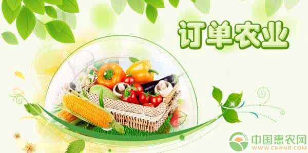 订单农业怎么签订单