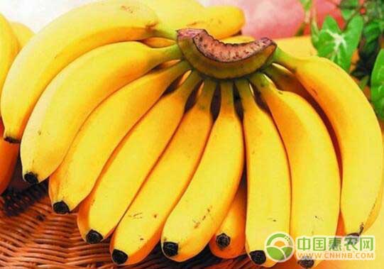 食品安全谣言——香蕉食用中毒