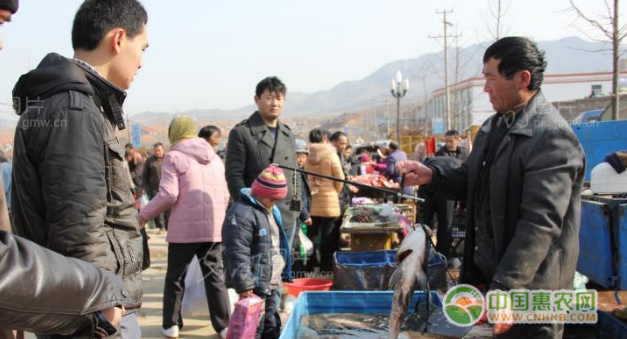 图为淡水鱼市场