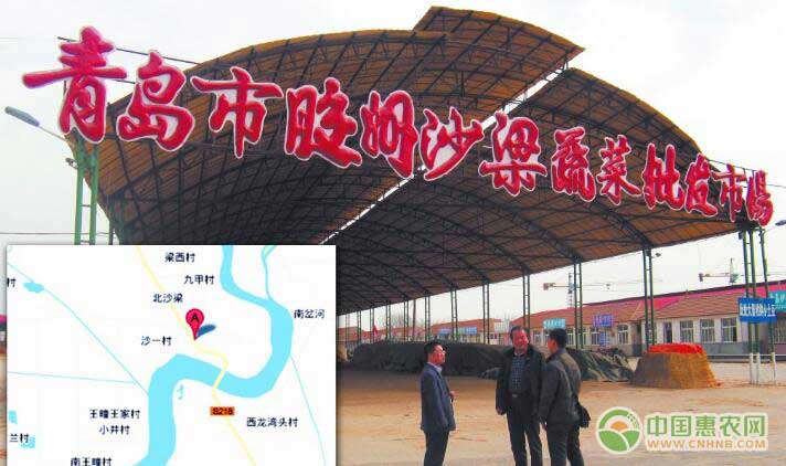 青岛沙梁蔬菜批发市场