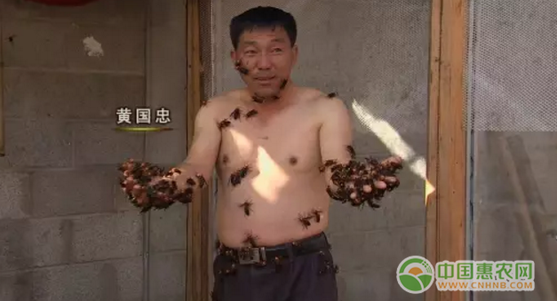 毒蜂养殖者黄国忠