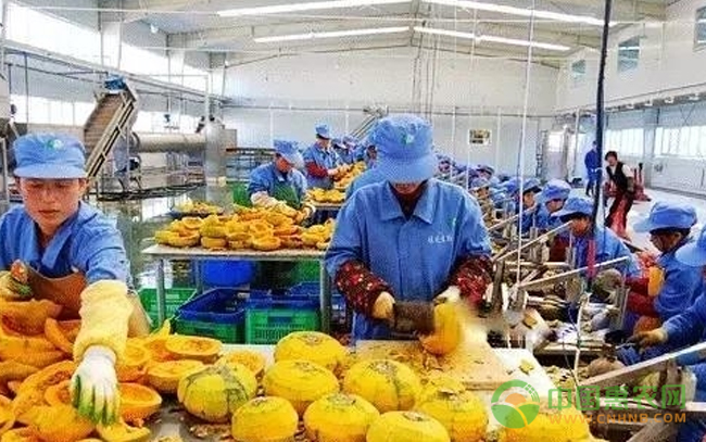 农产品滞销根源分析！农产品滞销相关配图