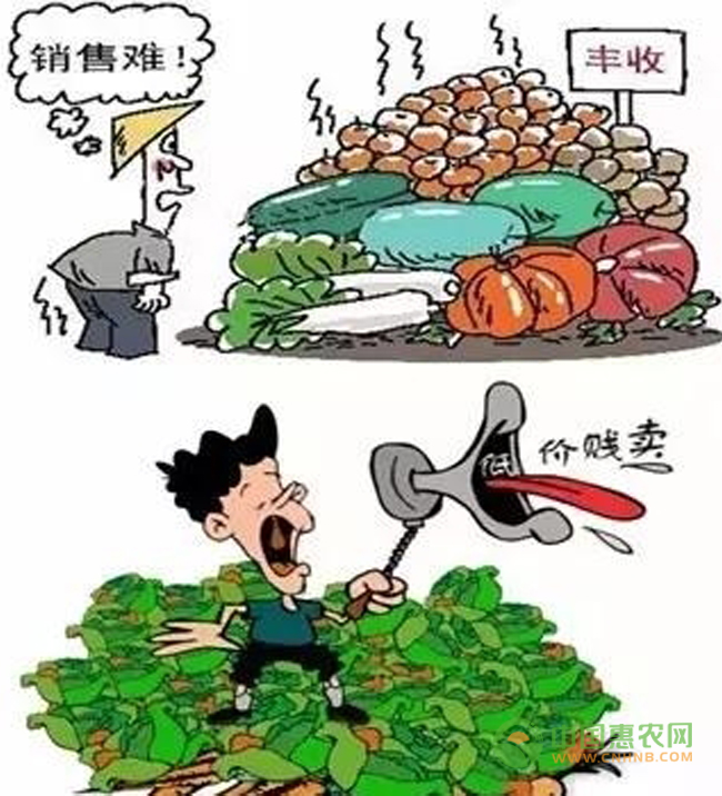 农产品滞销根源分析！农产品滞销相关配图