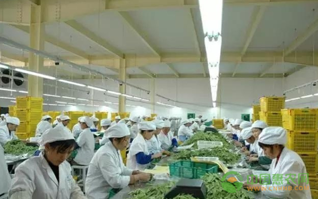 农产品滞销根源分析！农产品滞销相关配图