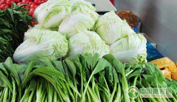 蔬菜价格上涨