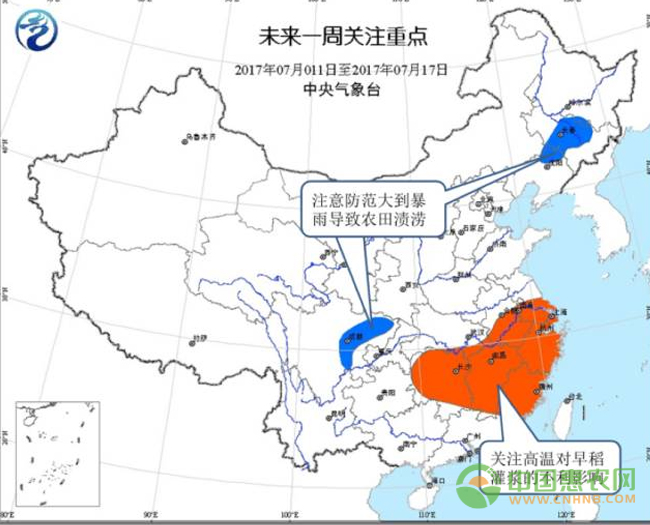 全国重点批发市场蔬菜价格汇总 未来走势将如何？ 相关配图