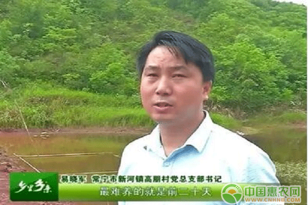 图为最美村支书易晓军心系村民弃城回农带领村民脱贫致富