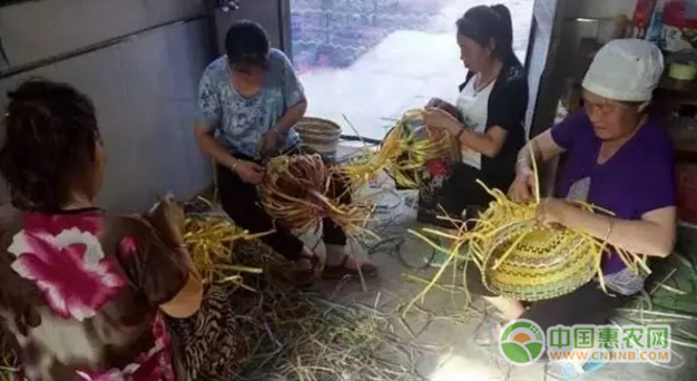 三联村脱贫攻坚：巧媳妇花篮子里的财富经