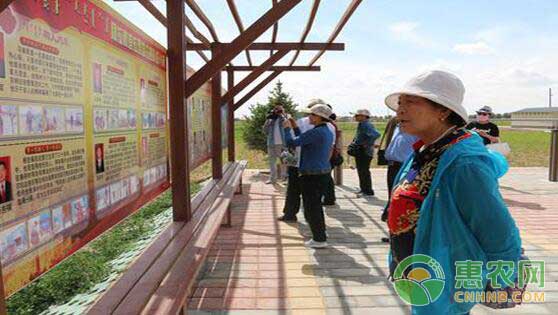 游客学习巴润别立镇历史