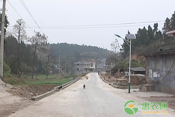 阳市农村道路畅通民生工程，正在进行预计乡、村级畅通工程将在10月底全部完工。
