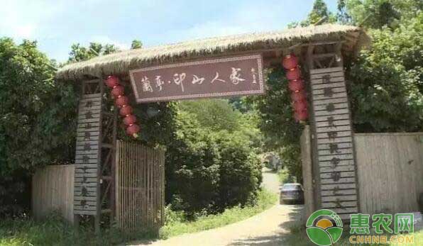 水蜜桃采摘基地兰亭印山人家 