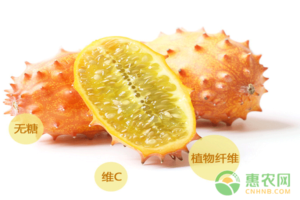 火参果的营养丰富种植效益高