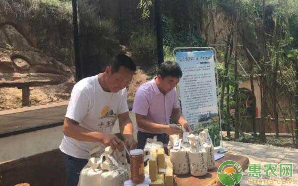 生态农产品签约活动负责人交流