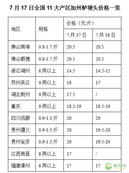 加州鲈大产区最新价格行情