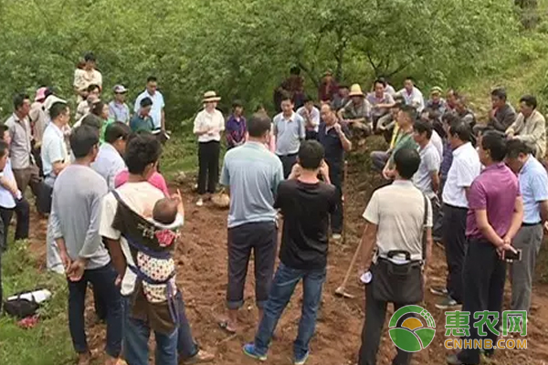 德胜村：县领导和农科人员送花椒种植技术助民增收致富