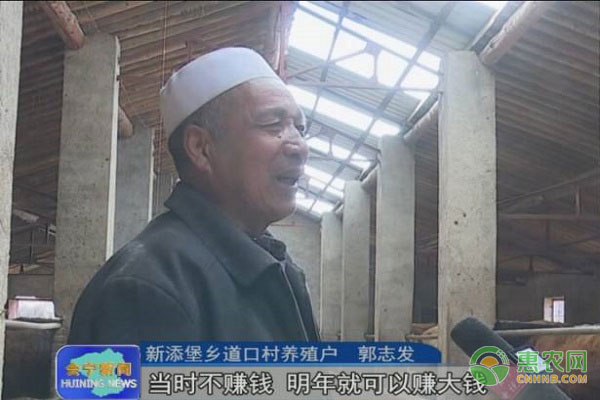 道口村发展肉牛养殖产业脱贫