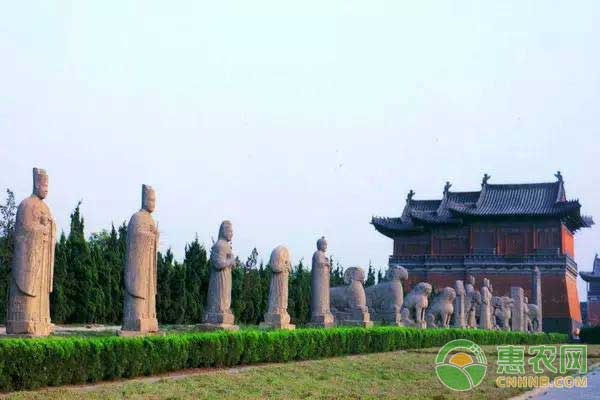 2017县域经济百强榜单中河南巩义市入围