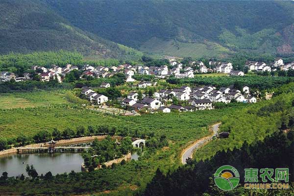 县住建局力助花蛇村发展特色产业