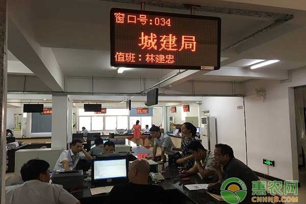 县住建局引导贫困户种植油葵实现了发展有产业，收入有来源，油葵成就“致富”
