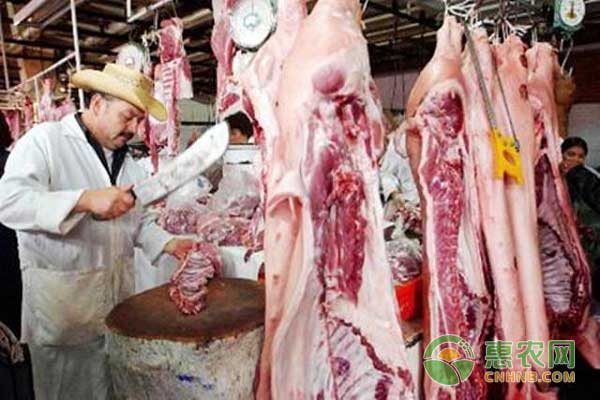 开放美猪进口对国猪市场造成一定的冲击