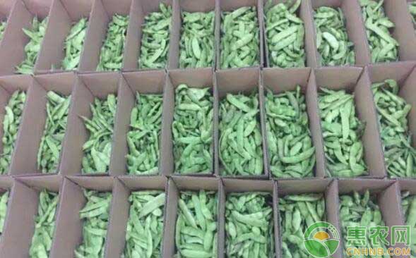 成箱售卖的豆角
