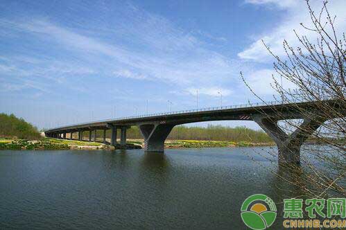 太和县大桥
