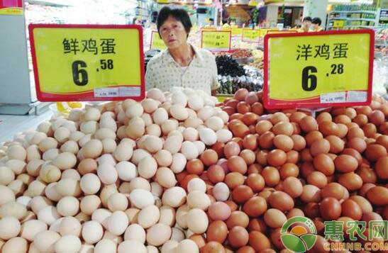 7月21日全国鸡蛋价格行情：蛋价持续上涨