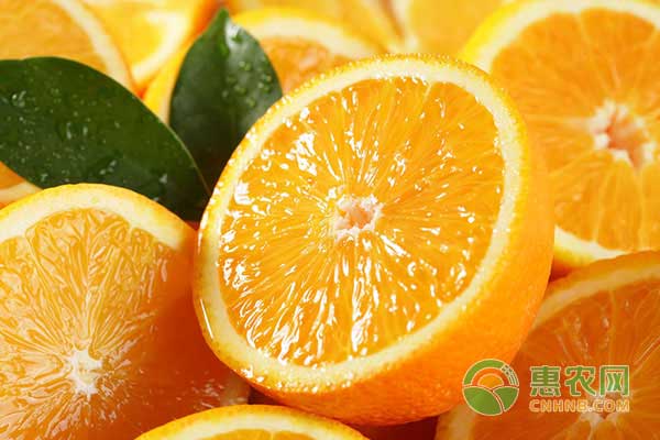 最新柑橘优良品种盘点