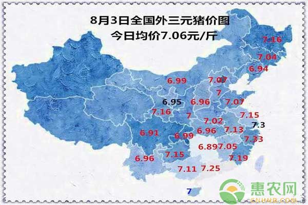 8月3日全国外三元猪价图