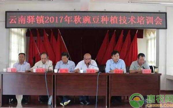 云南驿镇召开2017年秋豌豆种植技术培训会