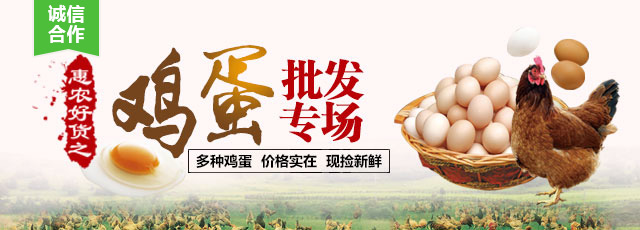 惠农好货之鸡蛋批发专场