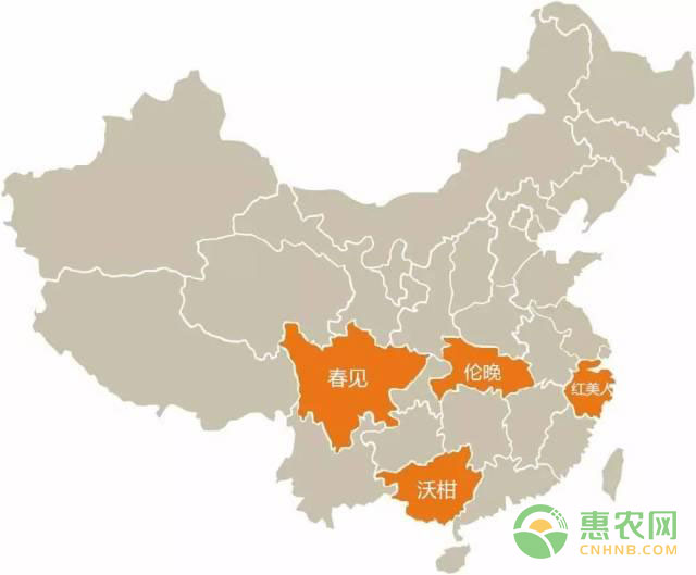 柑橘分布图