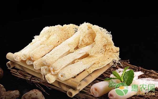 竹荪试种成功，为石泉县农民开辟增收新途径