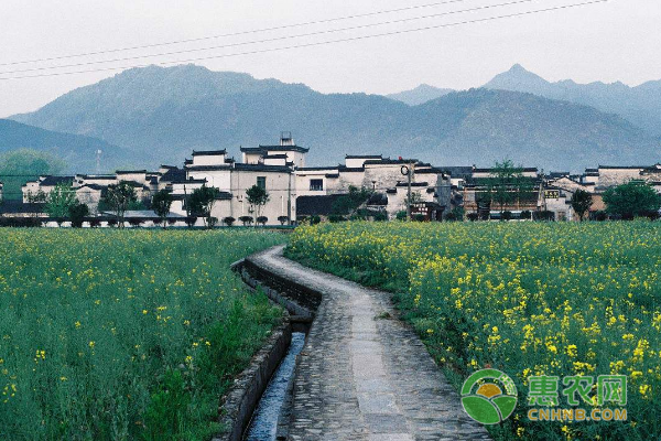 新农村建设