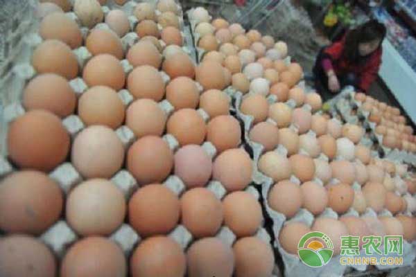 最新鸡蛋价格行情之蛋价波动大，提醒养鸡户静观其变！
