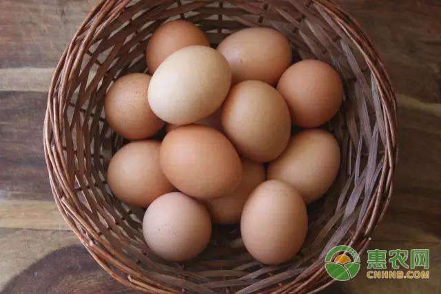 鸡蛋价格全面上涨