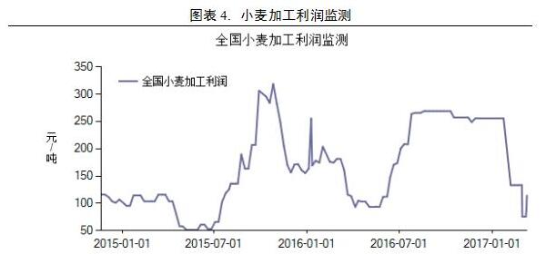 当前小麦市场行情展望及策略建议
