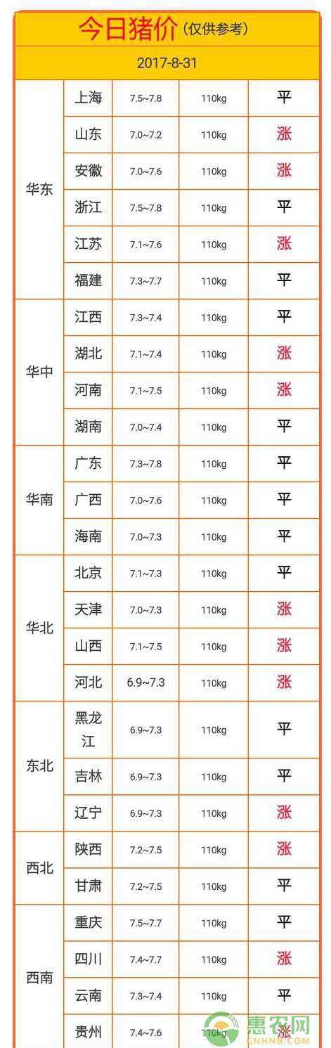 今日猪价