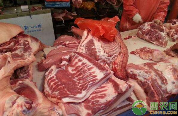 肉类价格行情