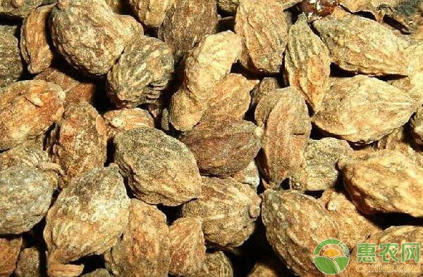 益智仁价格行情