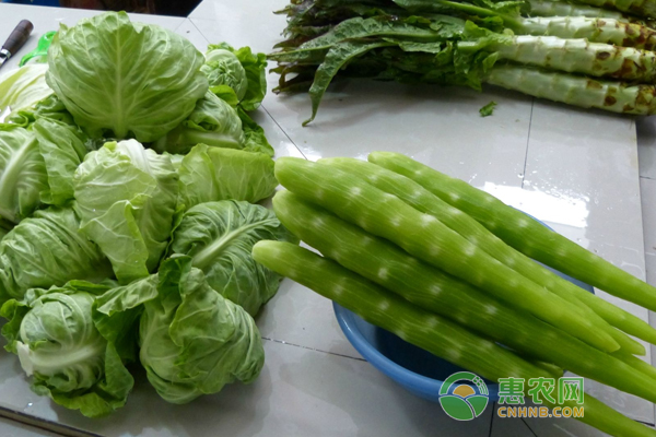 目前蔬菜价格是否上涨
