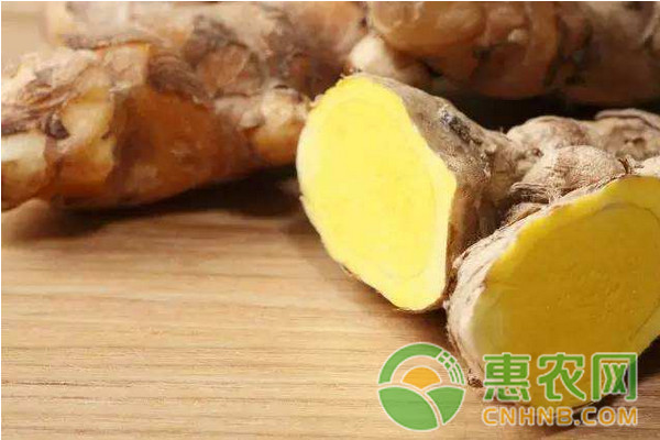 <a href='https://www.cnhnb.com/p/shengjiang/' class='j-href' target='_blank'><span style='color:#FF8001'>生姜价格</span></a>走势