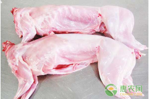 肉兔多少钱一斤？9月21日部分地区肉兔价格