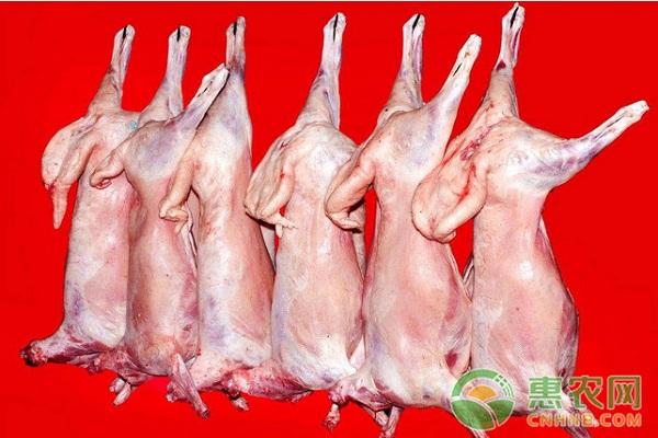 今日羊肉价格多少钱一斤？9月21日全国羊肉批发市场价格汇总